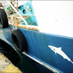 fishermen in Aegina Island - foto Cristina Nichitus Roncea
